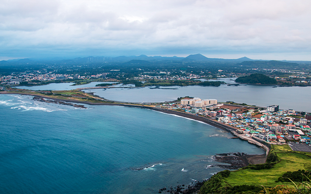 주요 사업 수행